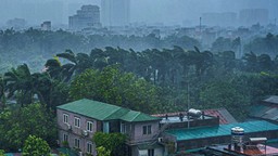 Dự báo thời tiết ngày 5/6: Nhiều khu vực mưa to cục bộ