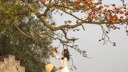 Ngẫm ngợi cuối tuần: Trở về với mùa hoa