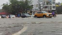 Dự báo thời tiết ngày 11/7: Cảnh báo mưa lớn tại Bắc Bộ, Trung bộ