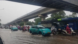 Thời tiết ngày 15/7: Vùng núi Bắc Bộ có nơi mưa to
