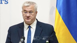 Ukraine tuyên bố sẵn sàng hòa đàm với Nga