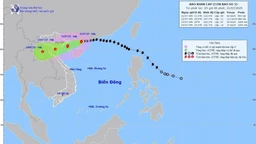 Cách Quảng Ninh - Hải Phòng khoảng 275 km, bão di chuyển hướng Tây Tây Nam, tốc độ 15–20 km/giờ