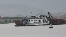Ngành Khí tượng thủy văn đã ban hành những bản tin dự báo, cảnh báo sớm trong vụ lật tàu tại Quảng Ninh