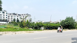 Dự báo thời tiết ngày 29/7: Nắng nóng bao trùm Bắc Bộ và Trung Bộ, có nơi trên 38°C