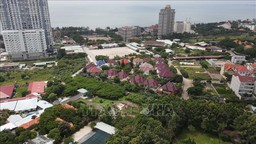 Cập nhật biến động, xây dựng cơ sở dữ liệu giá đất chi tiết đến từng thửa
