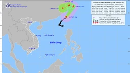 Tin cuối cùng về bão số 2: Bão suy yếu dần và không có khả năng quay lại Biển Đông
