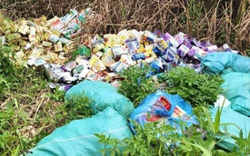 Thành phố Hồ Chí Minh: Giám định hơn 4.200 hộp thực phẩm chức năng đổ trộm ven đường