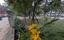 Góc nhìn 365: Năm mới và công viên mới