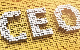 Phê duyệt Chương trình đào tạo, bồi dưỡng 10.000 giám đốc điều hành