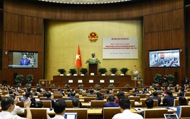 Quốc hội khóa XVI có 26 đại biểu tham gia Quốc hội từ 4 khóa trở lên