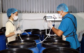 Để doanh nghiệp khởi nghiệp sáng tạo có khả năng cạnh tranh quốc tế