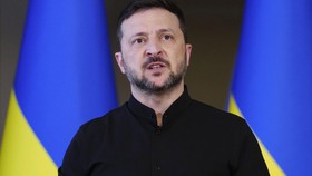 Tổng thống Ukraine đề xuất ngừng bắn để sắp xếp cuộc gặp người đồng cấp Nga