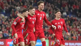 Nhận định, soi tỷ lệ Bỉ vs Wales 01h45 ngày 10/6, vòng loại World Cup 2026