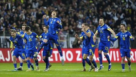 Đội tuyển Bosnia & Herzegovina: Khi rồng cất cánh
