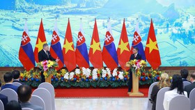 Nâng cấp quan hệ Việt Nam – Slovakia lên Đối tác chiến lược