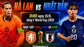 Dự đoán tỉ số trận đấu Hà Lan vs Nhật Bản (Bảng F World Cup 2026): Đại chiến cân não