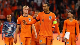 Tỷ lệ chiến thắng Hà Lan vs Nhật Bản (bảng F World Cup 2026): Cơn lốc màu da cam chiếm ưu thế