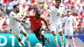 Tỷ lệ chiến thắng New Zealand vs Bỉ (Bảng G World Cup 2026): Quỷ đỏ châu Âu áp đảo