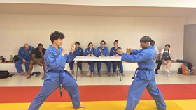 Người Việt tại Pháp lan tỏa văn hóa dân tộc qua võ cổ truyền Vovinam