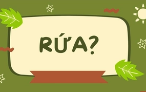 Chữ và nghĩa: Vẻ đẹp phương ngữ