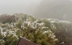 Dự báo thời tiết ngày 12/1: Bắc Bộ rét sâu, vùng núi đề phòng băng giá