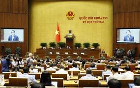 Bỏ phạt đình chỉ hoạt động có thời hạn với pháp nhân thương mại ở một số tội danh