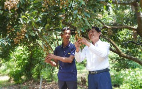 Nghị quyết 57-NQ/TW: Chuyển đổi xanh và số nâng tầm thương hiệu nhãn Châu Thành
