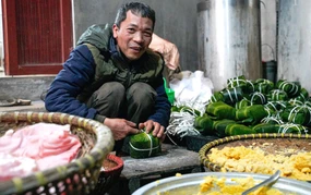 Làng bánh chưng Tranh Khúc vào vụ Tết Bính Ngọ