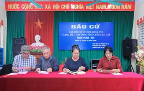 Bầu cử Quốc hội và HĐND: Nguyên tắc hoạt động của các tổ chức phụ trách bầu cử ở địa phương