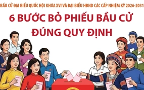 Bầu cử Quốc hội và HĐND: 6 bước bỏ phiếu bầu cử đúng quy định