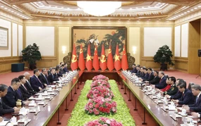 Tổng Bí thư, Chủ tịch nước Tô Lâm hội đàm với Tổng Bí thư, Chủ tịch nước Trung Quốc Tập Cận Bình