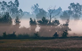 Vẻ đẹp thơ mộng miền quê Cần Thơ trong sương sớm