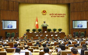 Quốc hội xem xét ngưỡng doanh thu chịu thuế với hộ kinh doanh