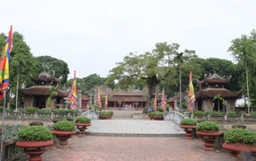 Khi đạo học trở thành điểm tựa của phát triển