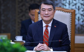 Bổ nhiệm Trợ lý Thủ tướng, Trợ lý Phó Thủ tướng Thường trực Chính phủ