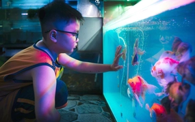 Hướng tới giải thưởng thiếu nhi Dế Mèn 2026 - Hoạ sĩ nhí Nguyễn Minh Quân: Giải mã "Tiếng nói đại dương"