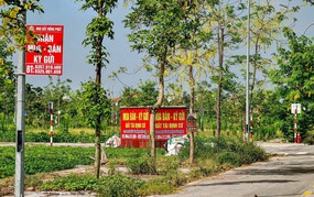Hà Nội sẽ kiểm tra hoạt động môi giới tại khu tái định cư cầu vượt sông Hồng