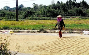 Bắc Bộ và Trung Bộ sắp bước vào đợt nắng nóng diện rộng