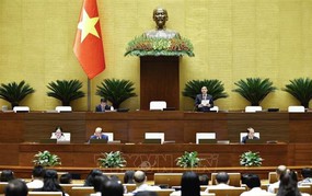 Thí điểm chế định luật sư công tại 8 bộ và 10 địa phương từ ngày 1/10/2026