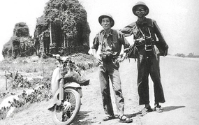 
"Chỉ cây đời mãi xanh tươi"