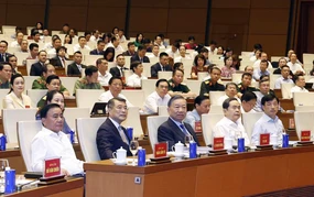 Hội nghị toàn quốc nghiên cứu, học tập, quán triệt và triển khai thực hiện Nghị quyết số 10-NQ/TW
