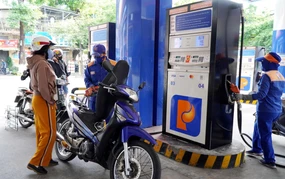 Xăng E10 chính thức “phủ kín” thị trường bán lẻ Quảng Ngãi