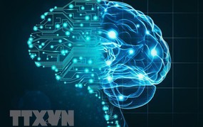 Nhà kinh tế đoạt giải Nobel: AI có thể sẽ không đưa kỷ nguyên tăng trưởng năng suất cao trở lại