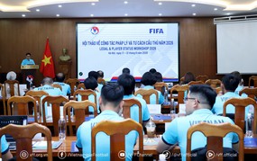 Bóng đá Việt Nam đẩy mạnh chuẩn hóa pháp lý theo tiêu chuẩn FIFA