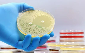 AI tạo virus có khả năng tiêu diệt vi khuẩn kháng thuốc