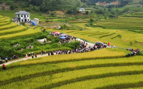 Vì một miền quê đáng sống: Sín Chéng mùa vàng ngân vang tiếng khèn