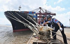 Trung Quốc nâng mức ứng phó khẩn cấp với bão Dolphin