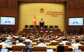 Đẩy mạnh ứng dụng chuyển đổi số, tạo chuyển biến trong phổ biến pháp luật