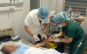 Ngày Thế giới phòng chống bệnh dại 28/9: Cảnh báo nguy cơ tổn thương nặng và nhiễm trùng từ vết chó cắn