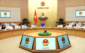 Phó Thủ tướng Phạm Thị Thanh Trà chủ trì họp Ban Chỉ đạo Nhà nước về Du lịch